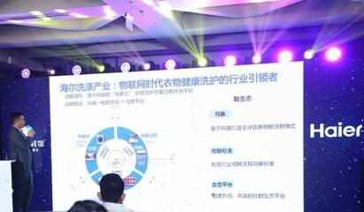 海爾牽頭制定行業(yè)首個鞋類物聯(lián)洗護(hù)標(biāo)準(zhǔn)，開啟智能洗護(hù)新紀(jì)元